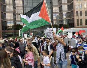 صورة للمظاهرات التي خرجت في أمريكا دعما للحقوق الفلسطينية 