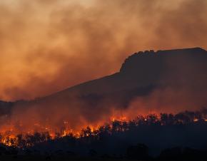 حريق، صورة تعبيرية،  photo by Matt Palmer on unsplash 