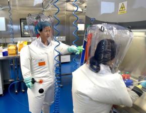 شي جينجلي داخل مختبر في معهد ووهان لعلم الفيروسات في عام 2017 ، الصورة لـ Chinatopix ، عبر Associated Press