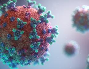 فيروس كورونا ، صورة نقلا عن  Fusion Medical Animation من موقع unsplash 