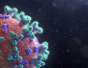 فيروس كورونا ، صورة Fusion Medical Animation من موقع Unsplash 