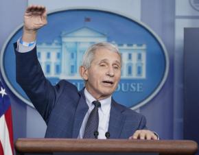 Dr. Anthony Fauci at a press briefing at the White House in December 2021. (Susan Walsh/AP)