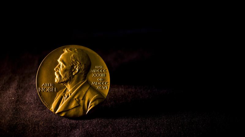 The Nobel Prize medal. Photo: Alexander Mahmoud 2018 The Nobel Prize medal. Photo: Alexander Mahmoud 2018