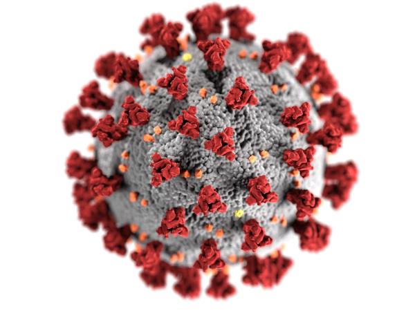 صورة حقيقية لشكل فيروس كورونا من CDC صورة حقيقية لشكل فيروس كورونا من CDC