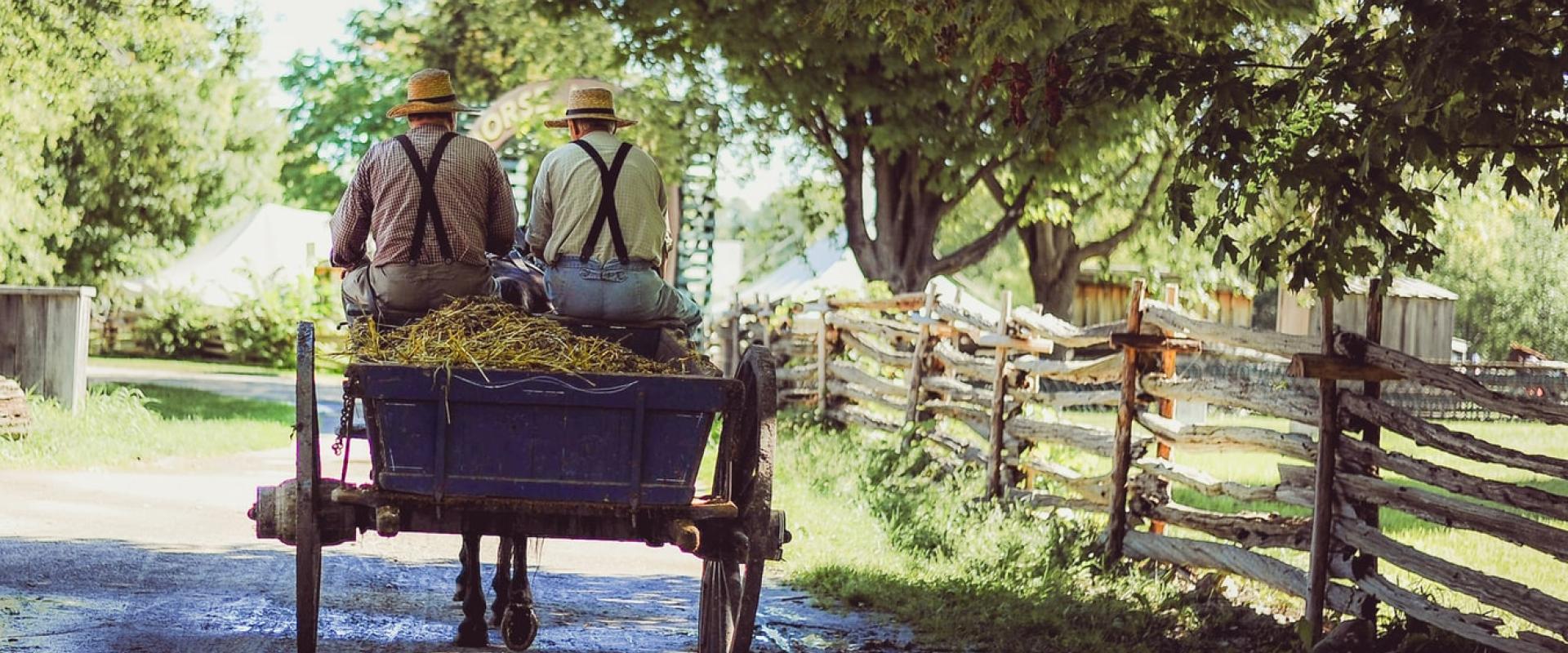 photo by Clark Young on unsplash