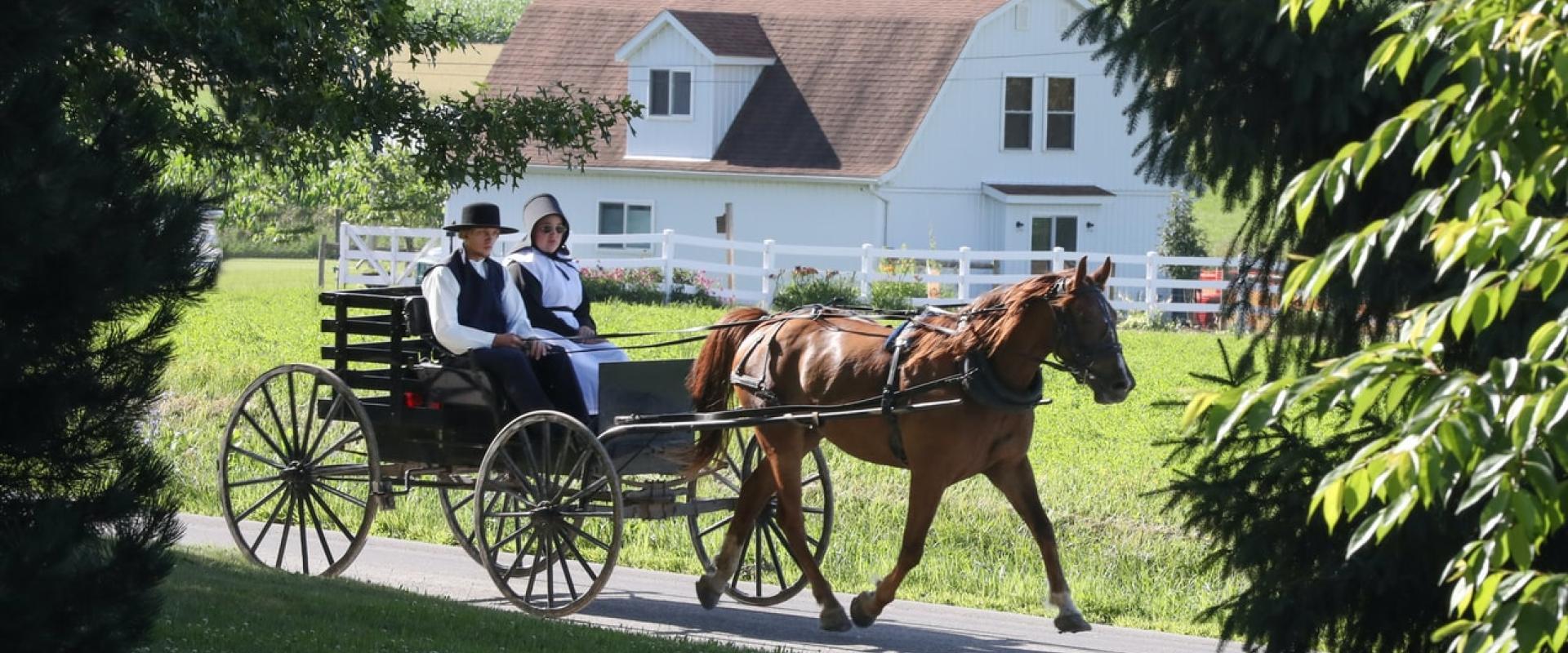 photo by Randy Fath on unsplash