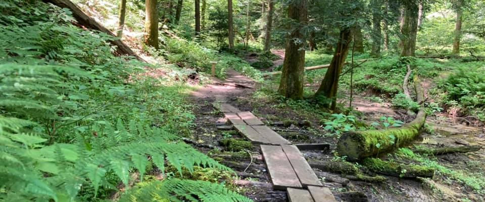 Hocking Hills Hocking Hills
