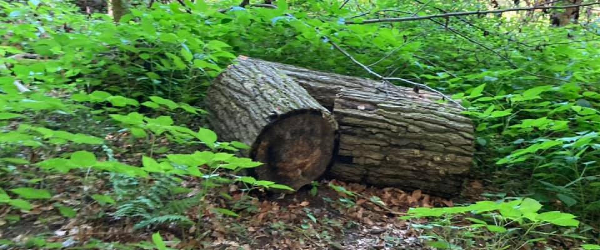 Hocking Hills Hocking Hills