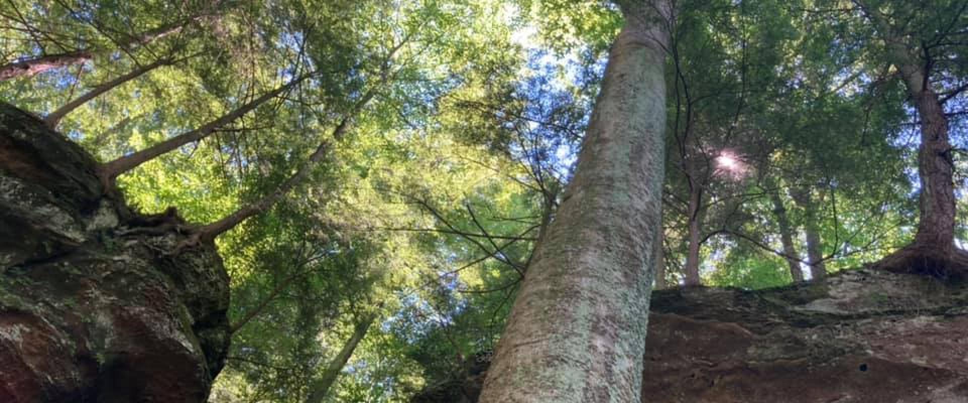 Hocking Hills Hocking Hills