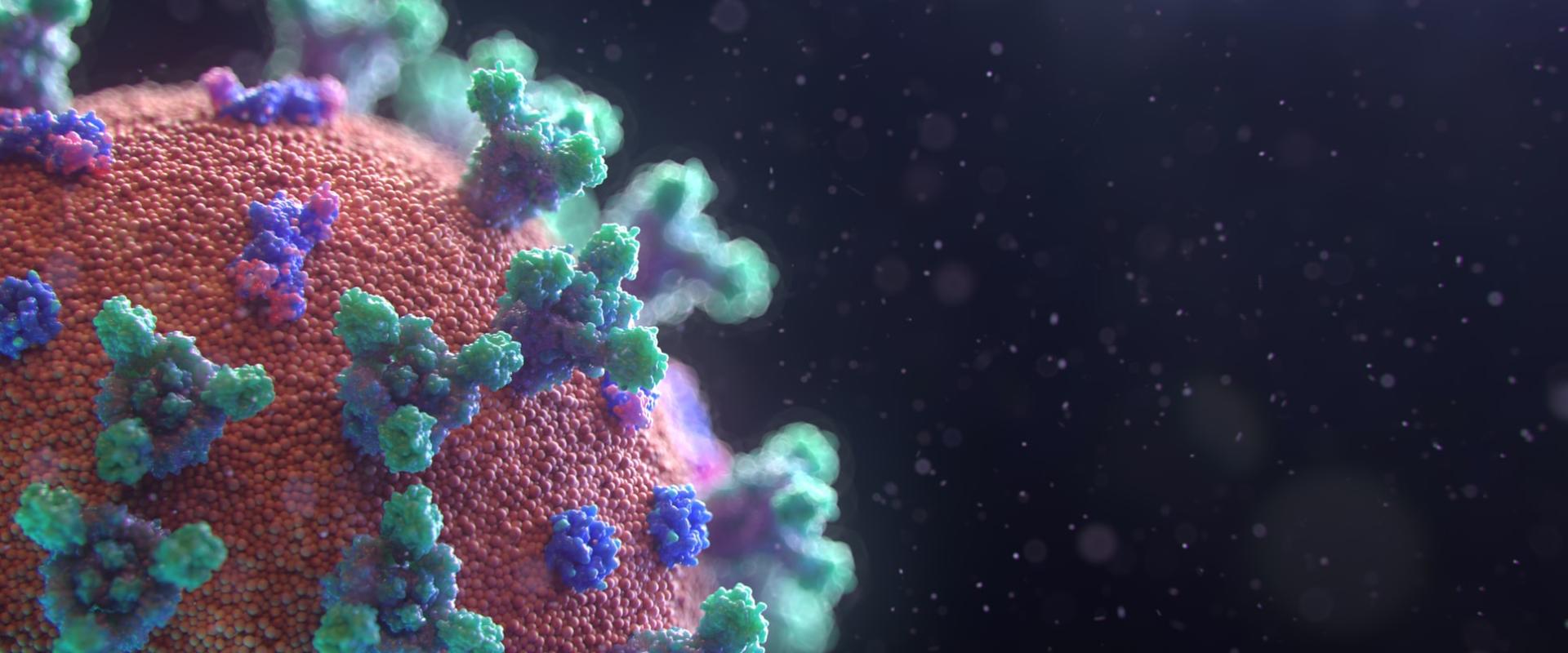 فيروس كورونا ، صورة Fusion Medical Animation من موقع Unsplash 