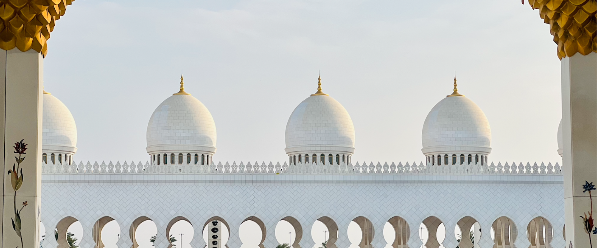 مسجد الشيخ زايد