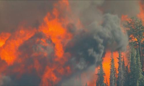 مصدر الصورة:cbc denver