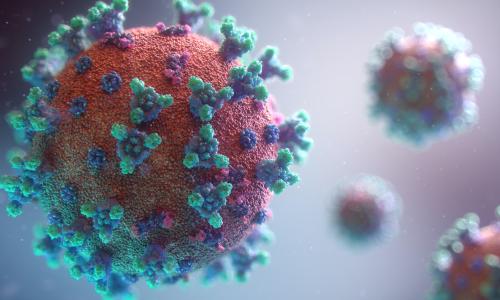 فيروس كورونا ، صورة نقلا عن Fusion Medical Animation من موقع unsplash 