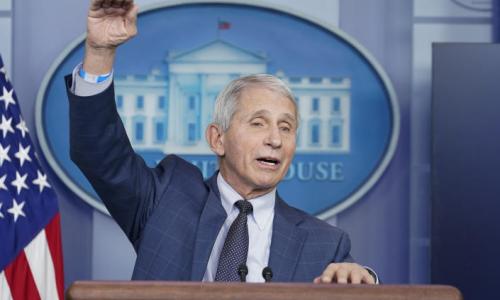 Dr. Anthony Fauci at a press briefing at the White House in December 2021. (Susan Walsh/AP)