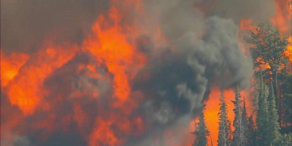 مصدر الصورة:cbc denver مصدر الصورة:cbc denver
