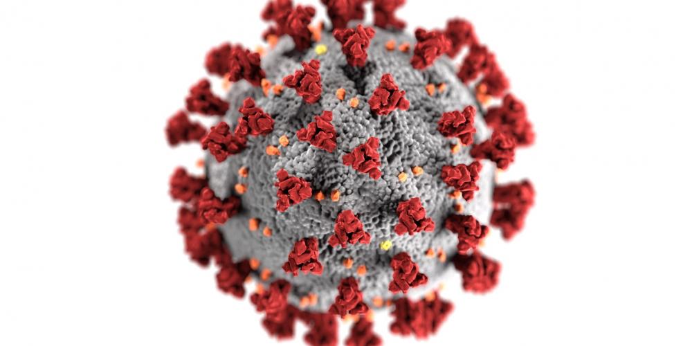 صورة حقيقية لشكل فيروس كورونا من CDC صورة حقيقية لشكل فيروس كورونا من CDC