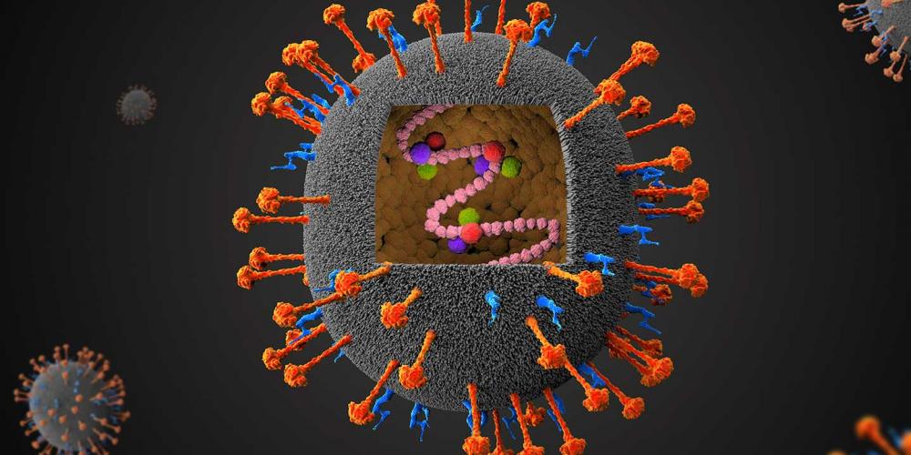 فيروس نيباه ، Nipah Virus ، الصورة نقلا عن Gavi فيروس نيباه ، Nipah Virus ، الصورة نقلا عن Gavi